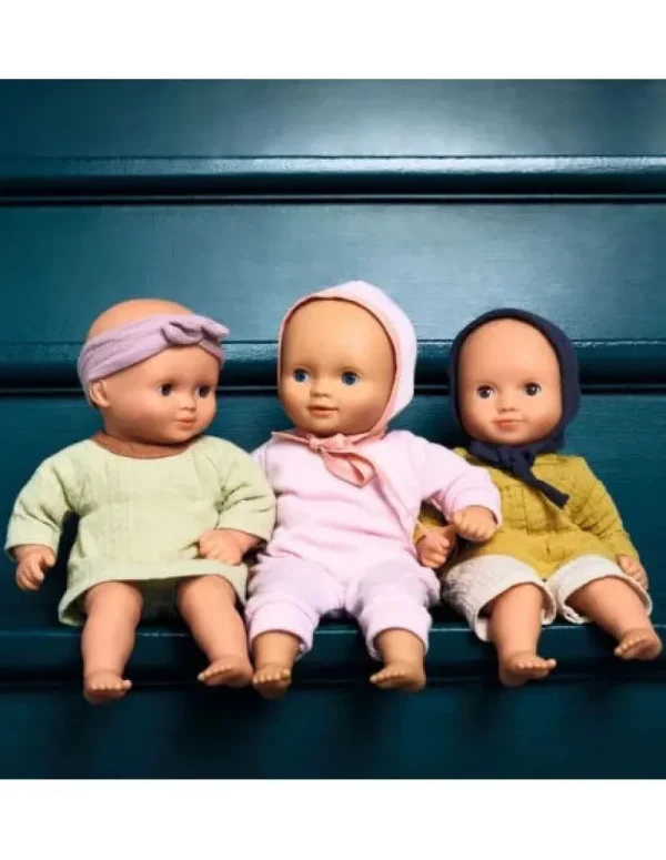 LET83700 Baby Camomille