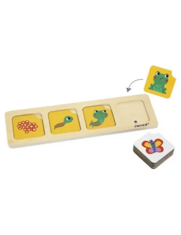 LET83700 Cartes séquences - Le jardin