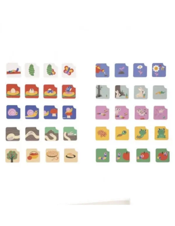 LET83700 Cartes séquences - Le jardin