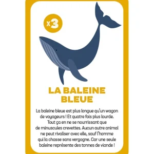 Enfant LeT Les enfants Terribles Cherche et trouve - Animaux menacés