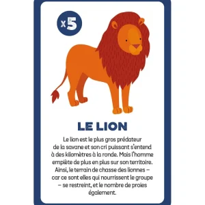 Enfant LeT Les enfants Terribles Cherche et trouve - Animaux menacés