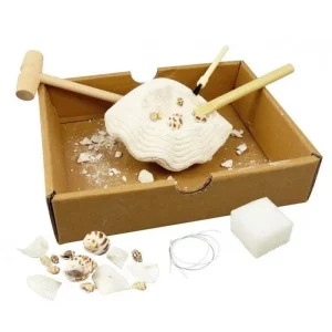 LET83700 Dig kit - Coquillages