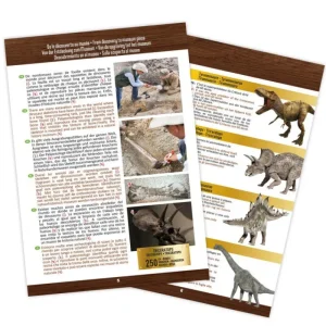 LET83700 Dino Museum - Buki