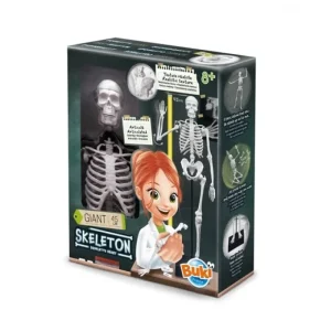 LET83700 Squelette 45cm